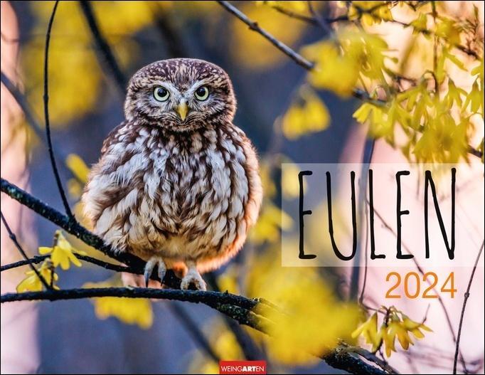 Produktbild Eulen Kalender 2024