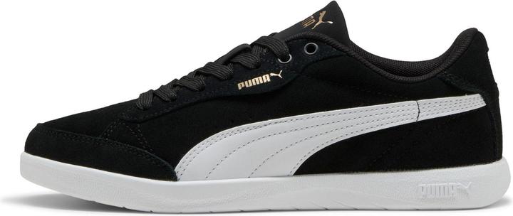 Bianco, Nero, Puma Bianco, Puma Nero, Puma Oro