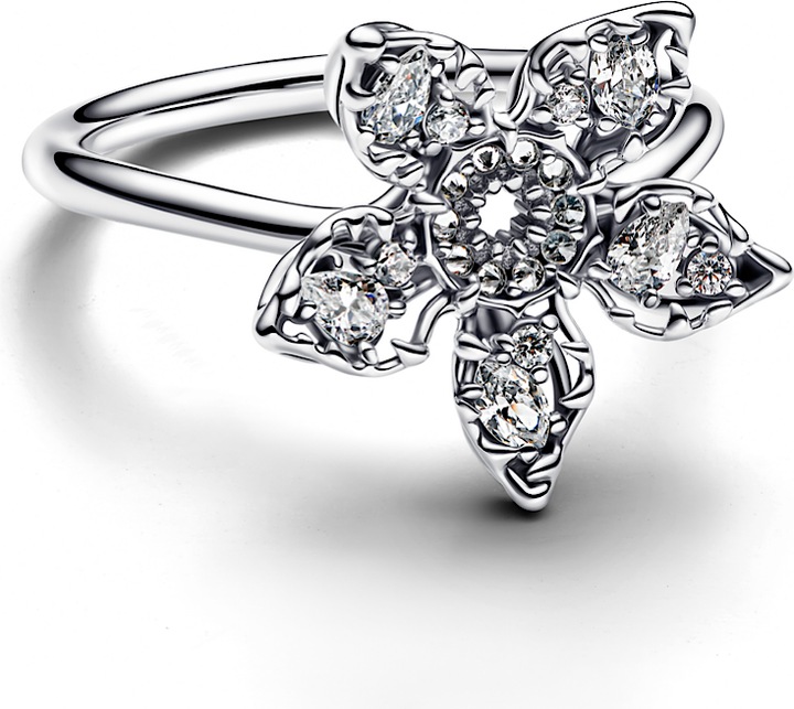 Image du produit Pandora Bague (52, 54, Argent 925)