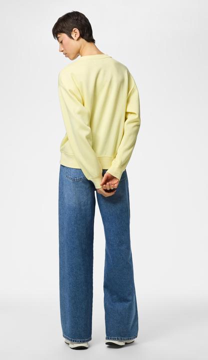 Produktbild Pieces PCCHILLI LOOSE FIT Sweatshirt (M)