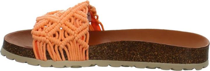 Image du produit Verbenas Raga (41)