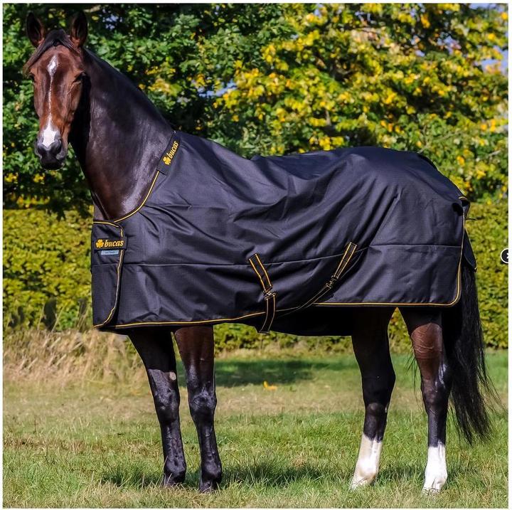 Produktbild Bucas Irish Turnout EXTRA Classic 300g Isolation (165 cm)
