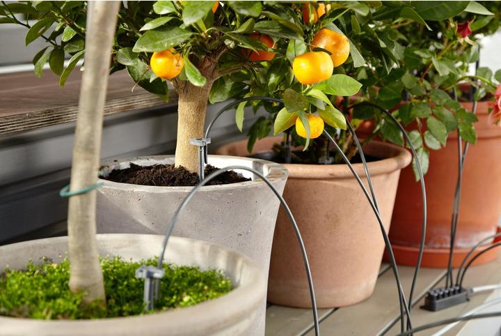 Immagine prodotto Gardena Set da irrigazione per le vacanze (Set per l'irrigazione a goccia)