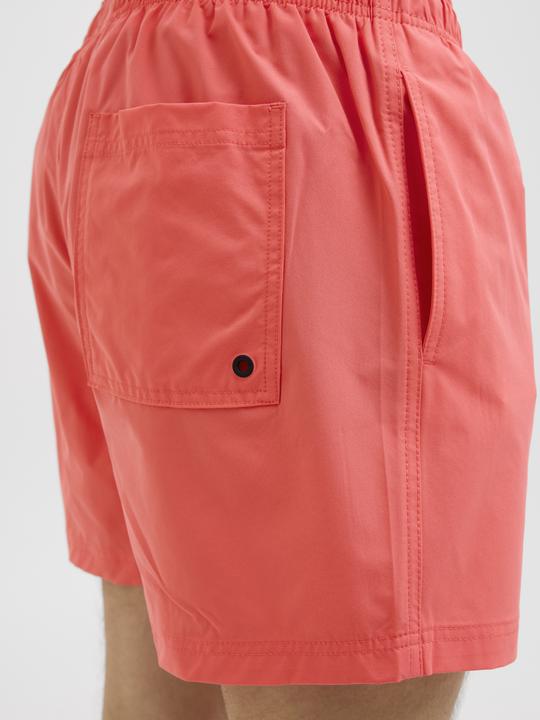 Produktbild Jack & Jones Regular Fit Badeshorts Badeshorts (L)