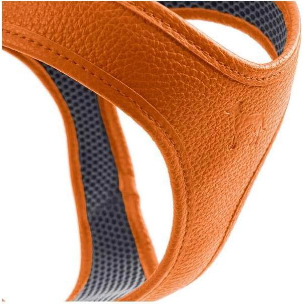 Hunter Geschirr Hilo (XS, Hund), Halsband + Leine