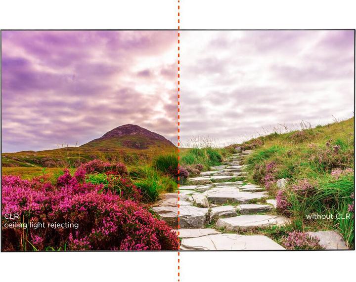 Actual product image Celexon HomeCinema UST (120", 16:9)