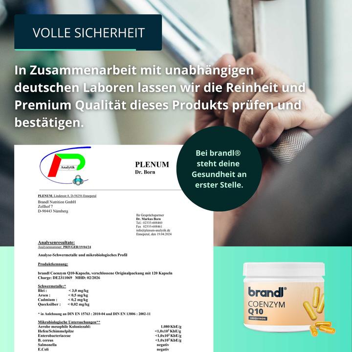 Produktbild Brandl Coenzym Q10 Vegan (1 Stück, Kapseln, 50 g)