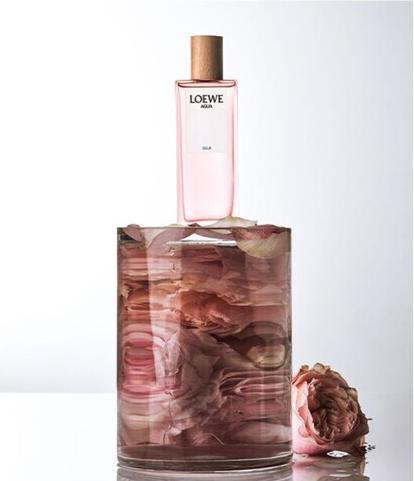 Produktbild Loewe Agua Ella (Eau de Toilette, 50 mL) (Eau de Toilette, 50 ml)