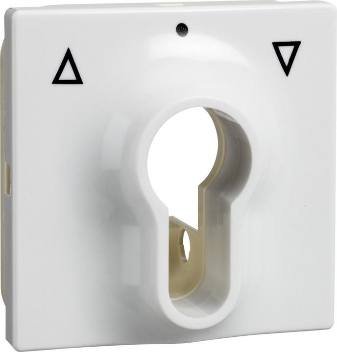 Actual product image Schneider Electric Central plate