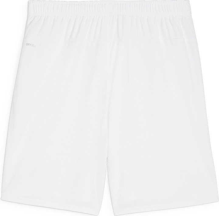 Actual product image Puma teamGOAL shorts (XXL)