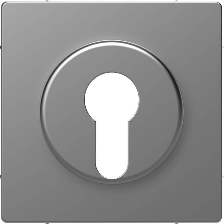 Actual product image Merten Central plate for toggle switch- MEG3886-6036