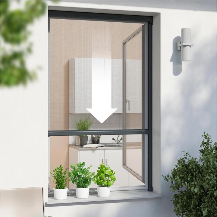 Actual product image Windhager Roller blind (160 x 160 cm)