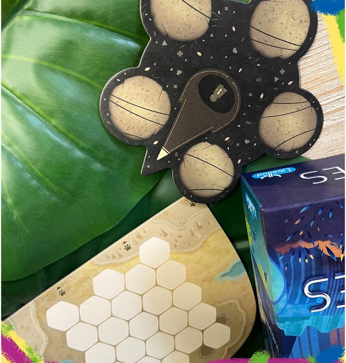 Actual product image Asmodée Harmonies - Italian Edition (Italian, 2 - 4 Players)