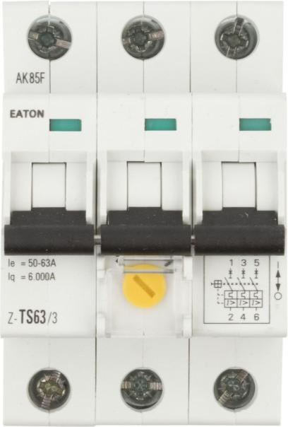 Actual product image Eaton Tariff switch, 63A, 3p, 50-63A 266862