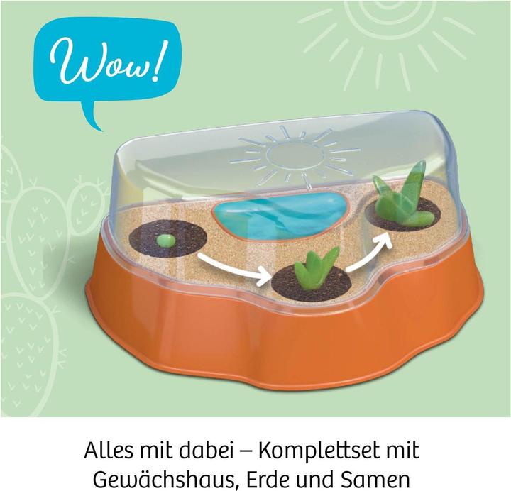 Actual product image Kosmos Cactus desert