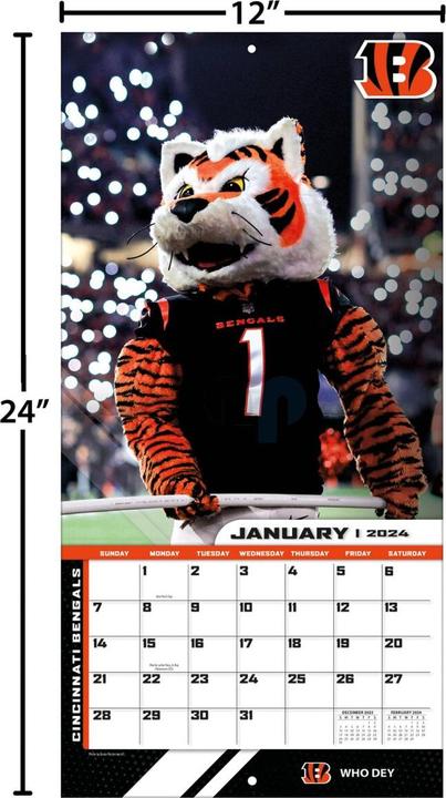 Actual product image NFL - NFL Maskottchen - 30,5 x 30,5 cm Wall Calendar 2024