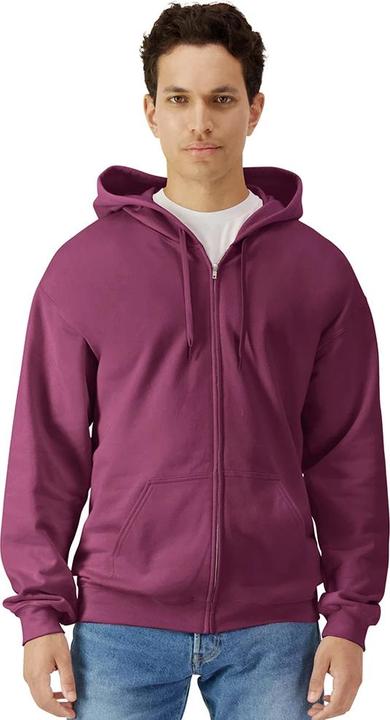 Image du produit Gildan - Veste à capuche SOFTSTYLE - Homme (L)