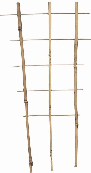 Image du produit Siena Garden Support de plantes (30 cm, 17 cm)