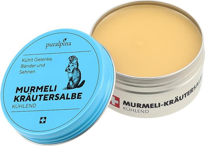Image du produit Puralpina Pommade aux herbes Murmeli (1 x, 100 ml, 100 g)