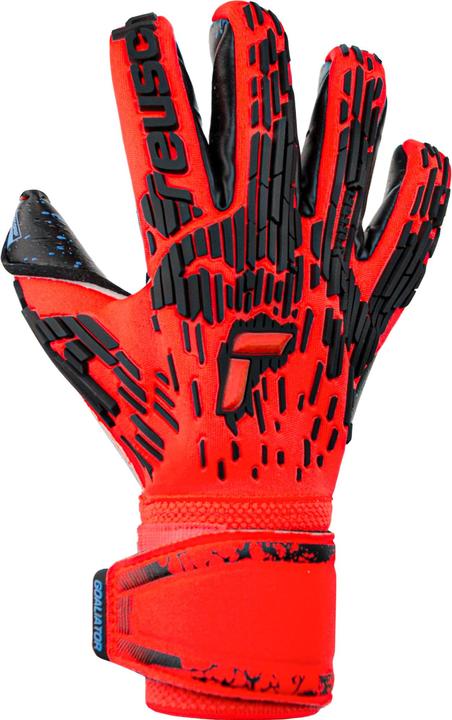 Produktbild Reusch Attrakt Freegel Fusion Goaliator Torwarthandschuhe (9.5)