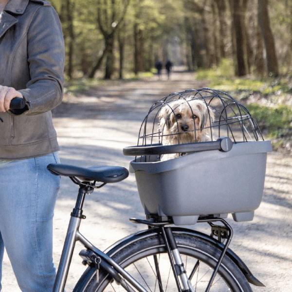 Produktbild New Looxs Clipper