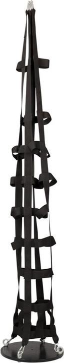 Actual product image Bad Kitty Strap Cage