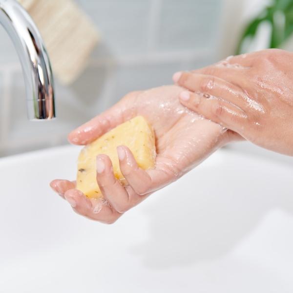 Actual product image Hydrophil Lavender (Liquid soap)