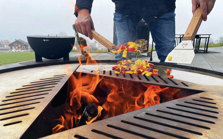 Actual product image Feu du Jardin Stainless steel cleaning scraper Cleano