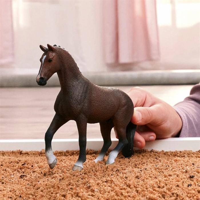 Image du produit Schleich KWPN Wallach
