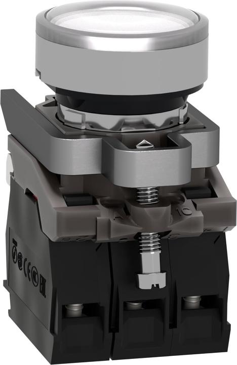 Produktbild Schneider Electric Drucktaster XB4BW31B5