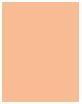 Image du produit Estée Lauder Double Wear Stay-In-Place (2N1 Beige Désert Beige)