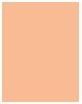 Produktbild Estée Lauder Double Wear Stay-In-Place (2N1 Desert Beige)