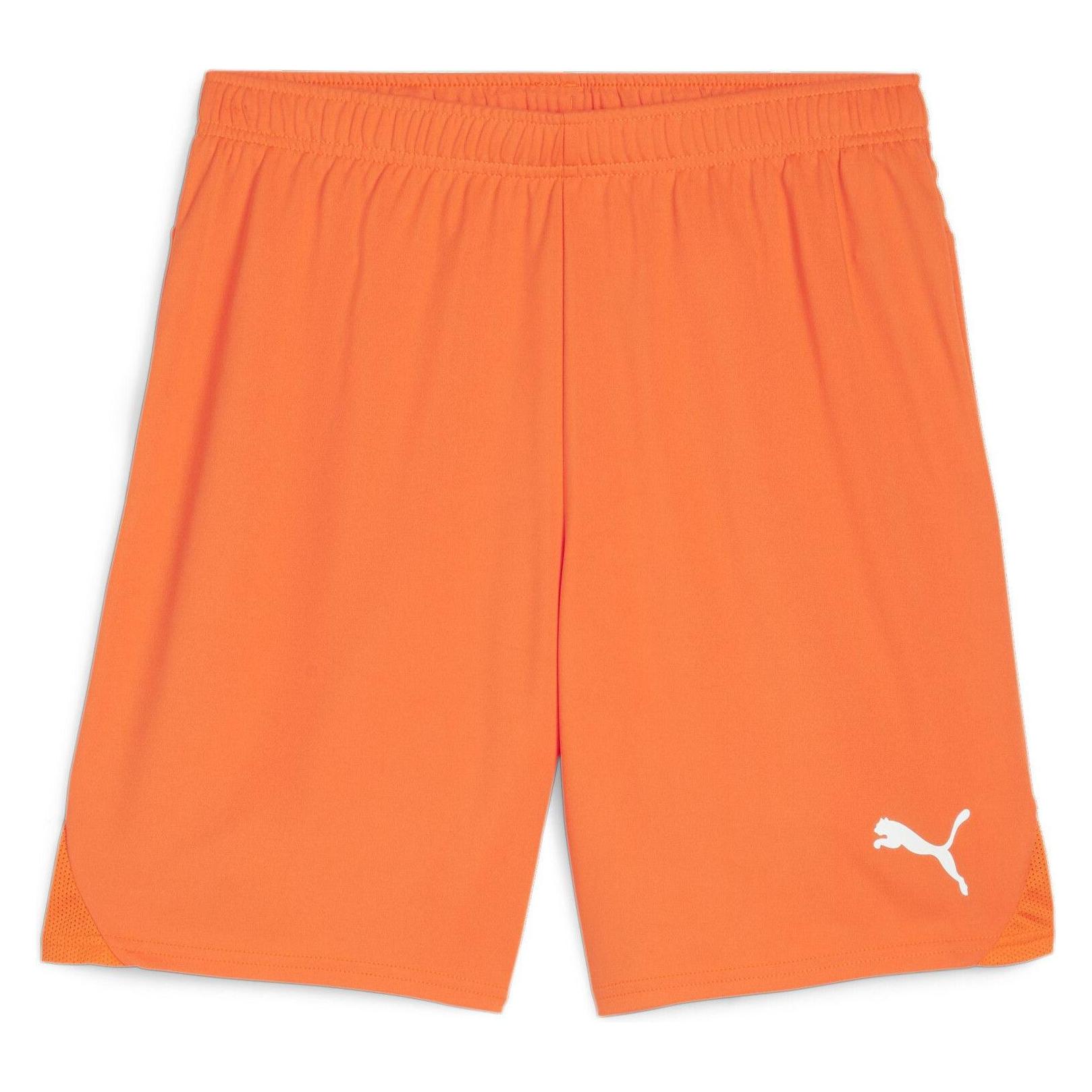 Puma, Mannen, Sportbroek, TeamGOAL Shorts (L), Oranje