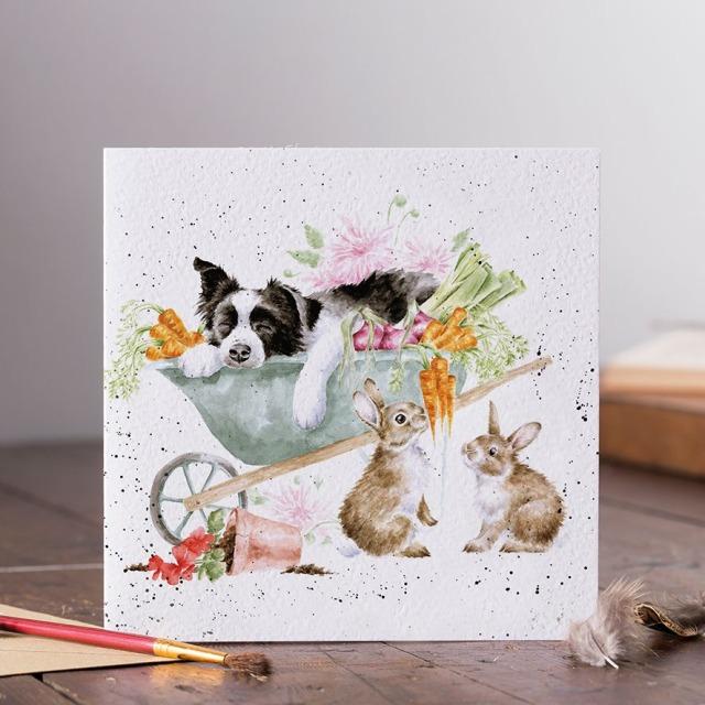 Actual product image Wrendale Design Karte - Collie SLEEPING ON THE JOB Wrendale Designs (1 pcs.)