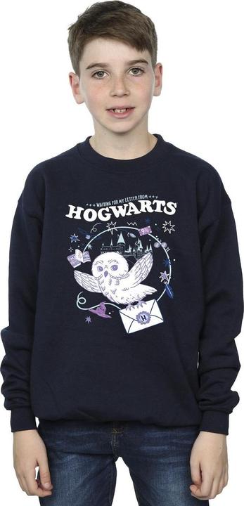 Produktbild Owl Letter From Hogwarts Sweatshirt Jungen (152, 158)