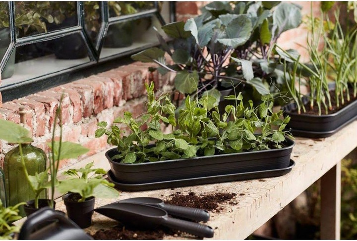 Actual product image Elho Green Basics