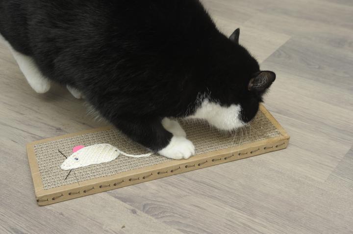 Produktbild Pet Toys Katzen Kratzbrett (Braun)