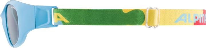 Immagine prodotto ALPINA SPORTS Sports Flexxy