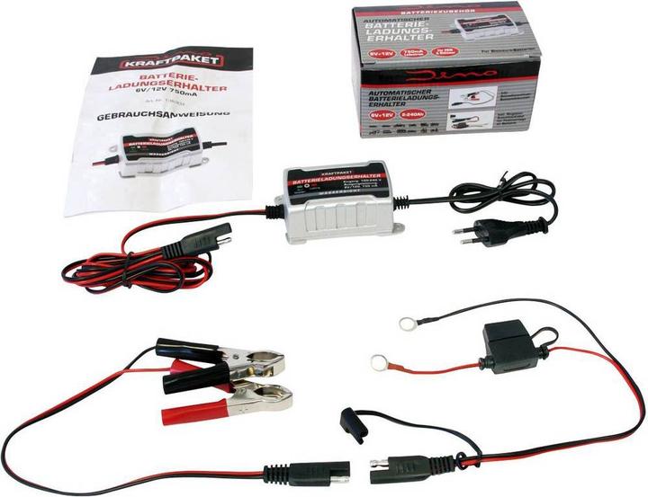 Actual product image Dino Automatic charger (12V, 6V, 0.75 A)