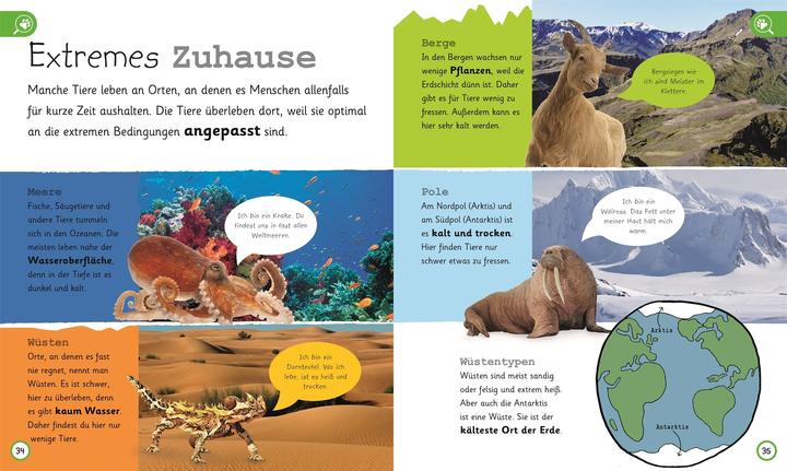 Produktbild Was weisst du über Tiere? (Deutsch, DK Verlag - Kids, Frauke Bahle, 2018)