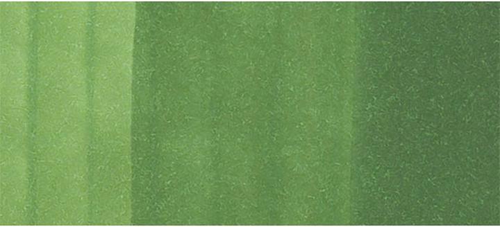 Image du produit Copic Marqueur graphique Classic Type YG - 67 (YG67 - Moss, 1 x)