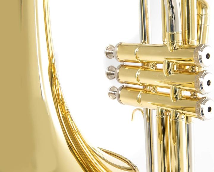 Roy Benson Tromba a pistoni Bb con calice in ottone premium e valvole in acciaio inossidabile (Trombetta, Rettilineo)