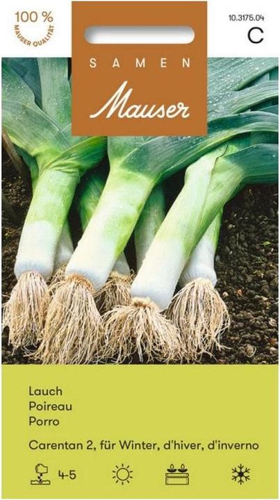 Actual product image Samen Mauser Leek Carentan 2 (Flower bulbs)