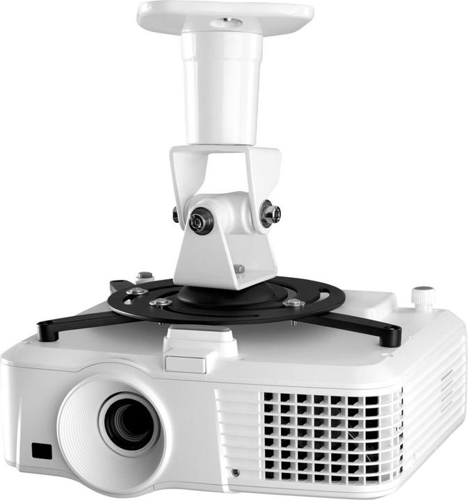 Image du produit One for All Solid WM5320 (Plafond, Mur)