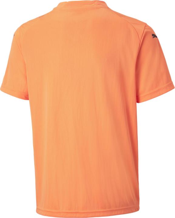 Actual product image Puma teamGLORY Jersey Jr (116)