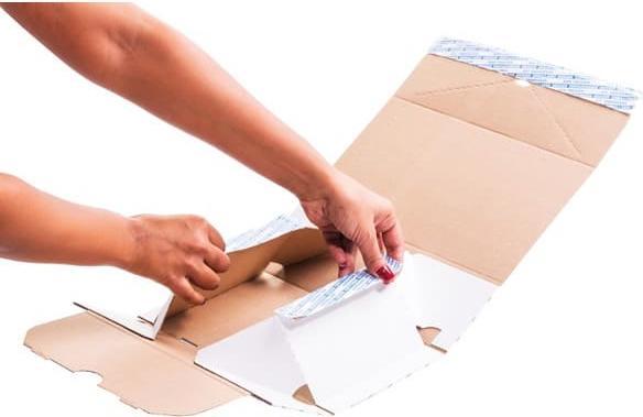 Image du produit Brieger Carton d'expédition 229 x 147 x 95 mm, 1 pièce (28,5 x 72 cm, 1 x)