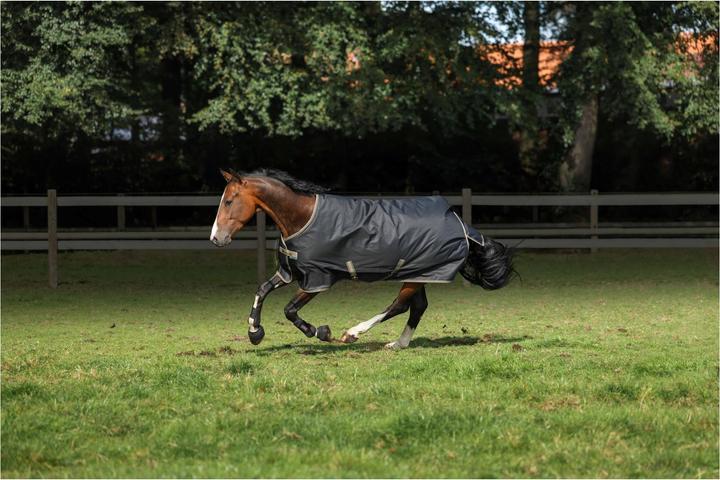 Produktbild Bucas Weidedecke Freedom Turnout 150g (155 cm)