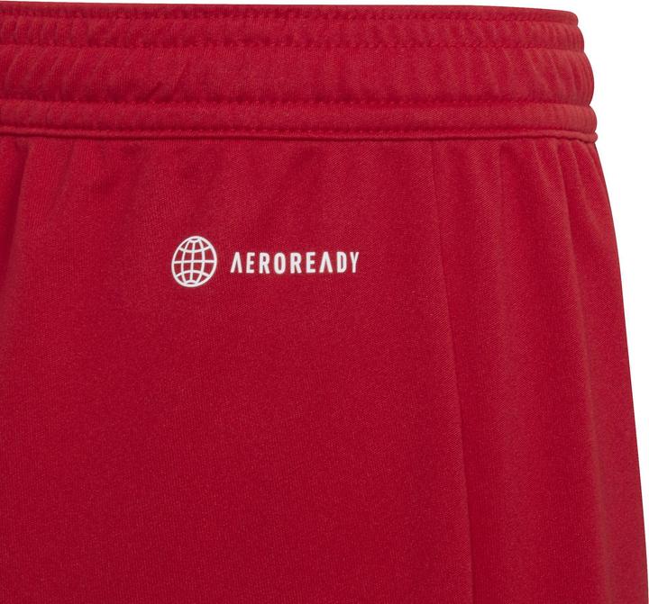 Actual product image adidas Entrada 22 Shorts (152)