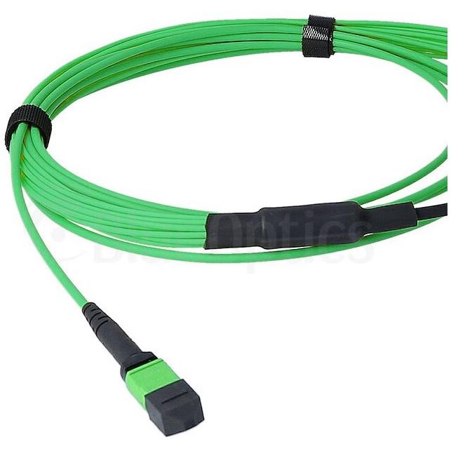 Thumbnail - BlueOptics LWL MTP/APC-8xLC/UPC Breakout Kabel OM5 50 Meter (50 m), Netzwerkkabel