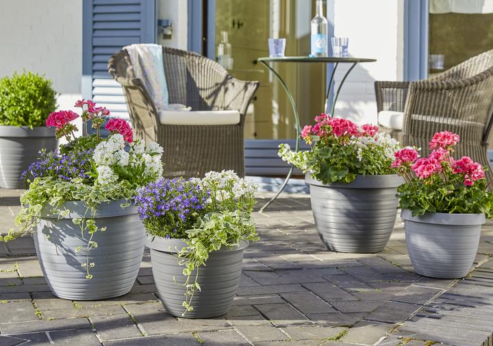 Immagine prodotto Scheurich Country Star (24.10 cm)